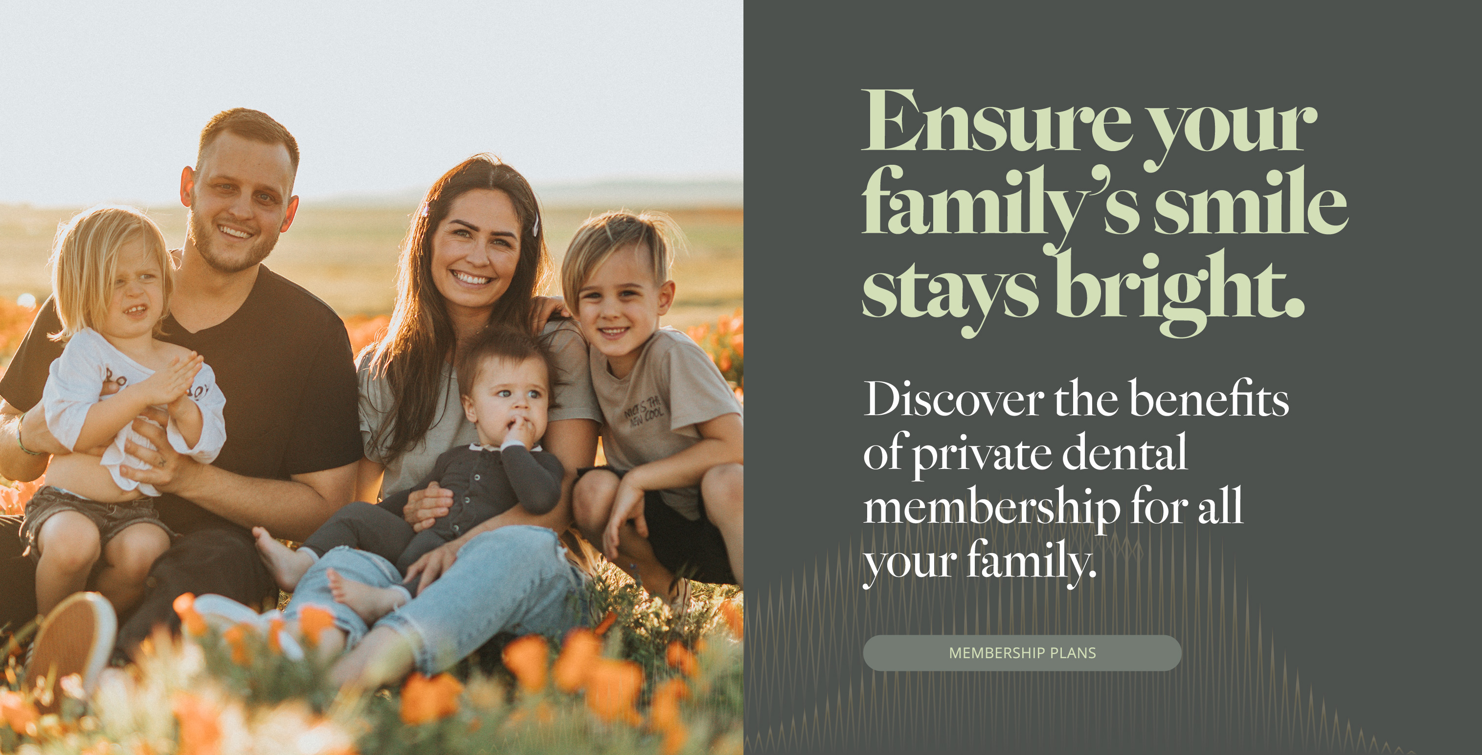 dental membership plans Ballymena